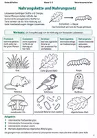 Vorschau - Arbeitsblätter - Nahrungsketten Lernmalbuch Klasse 5–6 - Seite 1