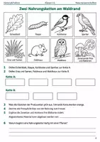 Vorschau - Arbeitsblätter - Nahrungsketten Lernmalbuch Klasse 5–6 - Seite 3