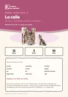 Vorschau - Arbeitsblätter - Spanisch A1: La calle (Die Gasse) - Seite 1