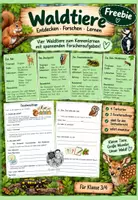 Vorschau - Arbeitsblätter - Waldtiere entdecken Freebie mit Tierkarten und Forscheraufträgen - Deckblatt