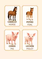Vista previa - Tarjetas / Manipulativos - Flashcards de animales y sus crías | Español + Inglés - página 3