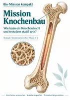 Vorschau - Arbeitsblätter - Knochenbau und Stabilität – Mission Knochenbau | Biologie Klasse 5-6 - Deckblatt