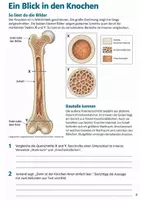 Vorschau - Arbeitsblätter - Knochenbau und Stabilität – Mission Knochenbau | Biologie Klasse 5-6 - Seite 3