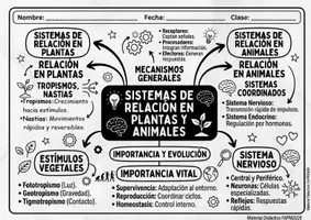 Vista previa - Unidades / Secuencias / Situaciones de Aprendizaje - SECUENCIA DIDACTICA COMPLETA SISTEMAS DE RELACIONN - Portada