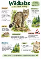 Vorschau - Arbeitsblätter - Lernplakat + AB mit Fragen zum Thema "Wildkatze" + Lösungsblatt + Infografik - Deckblatt