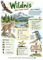 Vorschau - Arbeitsblätter - Lernplakat + AB mit Fragen zum Thema "Wildnis" + Lösungsblatt + Infografik - Deckblatt