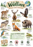 Vorschau - Arbeitsblätter - Lernplakat + AB mit Fragen zum Thema "Wildtiere" + Lösungsblatt + Infografik - Deckblatt