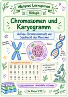 Vorschau - Arbeitsblätter - Wanyvo´s Lernspuren Chromosomen und Karyogramm - Deckblatt