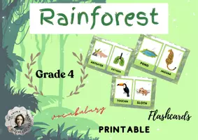 Vorschau - Stationenlernen - Rainforest Animals: Flashcards (3-6) - Deckblatt