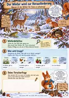 Vorschau - Stundenentwürfe - Winter - So überstehen Tiere die kalte Jahreszeit 3./4. Klasse - Seite 1