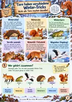Vorschau - Stundenentwürfe - Winter - So überstehen Tiere die kalte Jahreszeit 3./4. Klasse - Seite 2