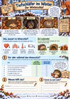 Vorschau - Stundenentwürfe - Winter - So überstehen Tiere die kalte Jahreszeit 3./4. Klasse - Seite 3