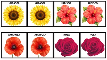 Vista previa - Juegos / Gamificación - Juego de memoria visual imprimible - página 2