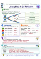 Vorschau - Arbeitsblätter - Wanyvo´s Lernspuren - DNA Replikation - Seite 2