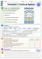 Vorschau - Arbeitsblätter - Wanyvo´s Lernspuren - DNA Replikation - Seite 3
