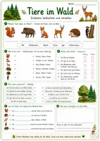 Vorschau - Arbeitsblätter - Tiere im Wald | Waldtiere kennenlernen, Nahrung zuordnen & Wissen überprüfen - Seite 1
