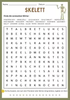 Vorschau - Arbeitsblätter - Suchsel: Bewegungsapparat (Skelett und Knochen) - Deckblatt