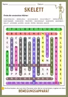 Vorschau - Arbeitsblätter - Suchsel: Bewegungsapparat (Skelett und Knochen) - Seite 1