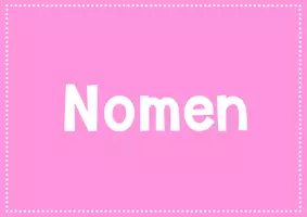 Vorschau - Poster - Nomen Tafelmaterial - Seite 1