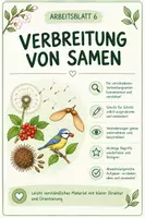 Vorschau - Arbeitsblätter - Verbreitung von Samen - Deckblatt