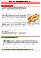 Vorschau - Arbeitsblätter - Chromoplasten Biologie Klasse 7 - Seite 1
