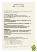 Vorschau - Unterrichtsreihen - Einführung Lineatur Klasse 3 mit Lini, dem linienfressenden Monster - Seite 2