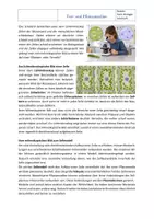 Vorschau - Arbeitsblätter - Aufbau der Zelle: Tier- und Pflanzenzelle | Arbeitsblatt mit Lösung | Einführungsphase - Seite 1
