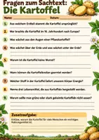 Vorschau - Arbeitsblätter - Die Kartoffel - Sachtext mit Fragen, Lösungen und Ausmalbild - Seite 2