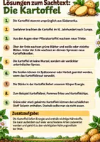 Vorschau - Arbeitsblätter - Die Kartoffel - Sachtext mit Fragen, Lösungen und Ausmalbild - Seite 3