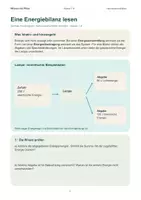 Vorschau - Arbeitsblätter - Energieformen & Energieumwandlung – Energie im Alltag | Klasse 7–8 - Seite 3