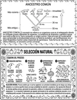 Vista previa - Unidades / Secuencias / Situaciones de Aprendizaje - SECUENCIA DIDACTICA COMPLETA "EVOLUCIÓN BIOLÓGICA" - Portada