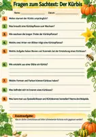 Vorschau - Arbeitsblätter - Der Kürbis: Sachtext mit Fragen, Lösungen und Ausmalbild Klasse 3-4 - Seite 2