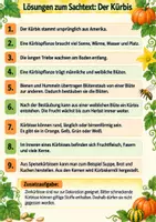 Vorschau - Arbeitsblätter - Der Kürbis: Sachtext mit Fragen, Lösungen und Ausmalbild Klasse 3-4 - Seite 3