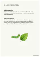 Vorschau - Arbeitsblätter - Klettmappe - Zuordnen - Die hungrige Raupe - Seite 3