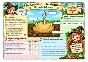 Vorschau - Unterrichtsreihen - Die Kartoffel – Von der Knolle zur neuen Pflanze - Seite 1