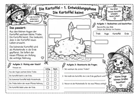 Vorschau - Unterrichtsreihen - Die Kartoffel – Von der Knolle zur neuen Pflanze - Seite 2