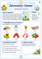 Vorschau - Unterrichtsreihen - Die Jahreszeiten: Sommer Sachunterricht Klasse 3 - 4 - Seite 2