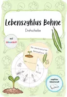 Vorschau - Mal- und Bastelvorlagen - Drehscheibe Lebenszyklus Bohne (inkl. Silbenschrift) - Deckblatt