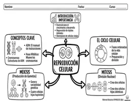 Vista previa - Unidades / Secuencias / Situaciones de Aprendizaje - SECUENCIA DIDÁCTICA COMPLETA "REPRODUCCIÓN CELULAR" - Portada