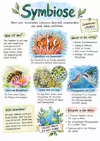 Vorschau - Arbeitsblätter - Lernplakat + Arbeitsblatt "Symbiose" + interaktive Lösung & MP3 + Infografik - Deckblatt