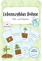 Vorschau - Stationenlernen - Bild- & Infokarten Lebenszyklus Bohnenpflanze - Deckblatt