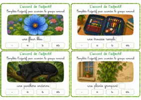 Aperçu - Cartes / Images - Cartes à choix multiples - Accord de l'adjectif - Page 2