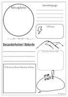 Vorschau - Mal- und Bastelvorlagen - Lebensraum-Steckbrief – Vorlage für den Biologieunterricht inkl. Ausfüllhilfe | 5./6. Klasse | sofort einsatzbereit - Seite 1