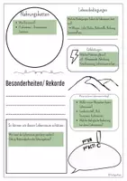 Vorschau - Mal- und Bastelvorlagen - Lebensraum-Steckbrief – Vorlage für den Biologieunterricht inkl. Ausfüllhilfe | 5./6. Klasse | sofort einsatzbereit - Seite 3