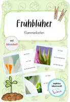 Vorschau - Stationenlernen - Klammerkarten Frühblüher - Deckblatt
