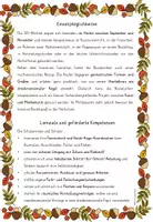 Vorschau - Stundenentwürfe - Herbst Kunst basteln Kindergarten Grundschule HERBSTWICHTEL - Seite 2