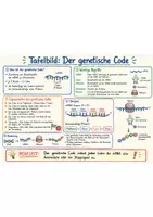 Vorschau - Arbeitsblätter - Wanyvo´s Lernspuren - Der genetische Code - Seite 1