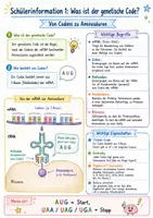 Vorschau - Arbeitsblätter - Wanyvo´s Lernspuren - Der genetische Code - Seite 2