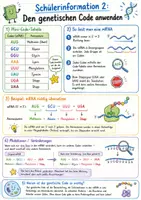 Vorschau - Arbeitsblätter - Wanyvo´s Lernspuren - Der genetische Code - Seite 3