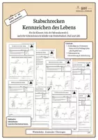 Vorschau - Arbeitsblätter - Stabschrecken – Kennzeichen des Lebens | Biologie Klasse 5/6 | 4-fach differenziert - Deckblatt